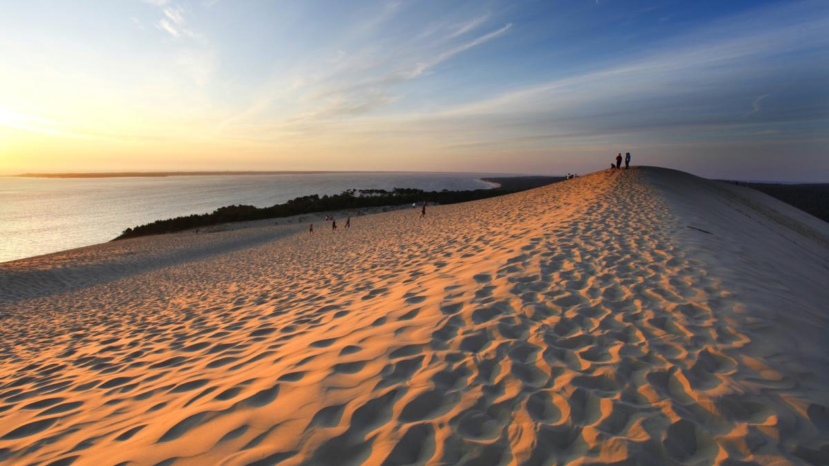 Visite De La Dune Du Pilat Arcachon Office De Tourisme