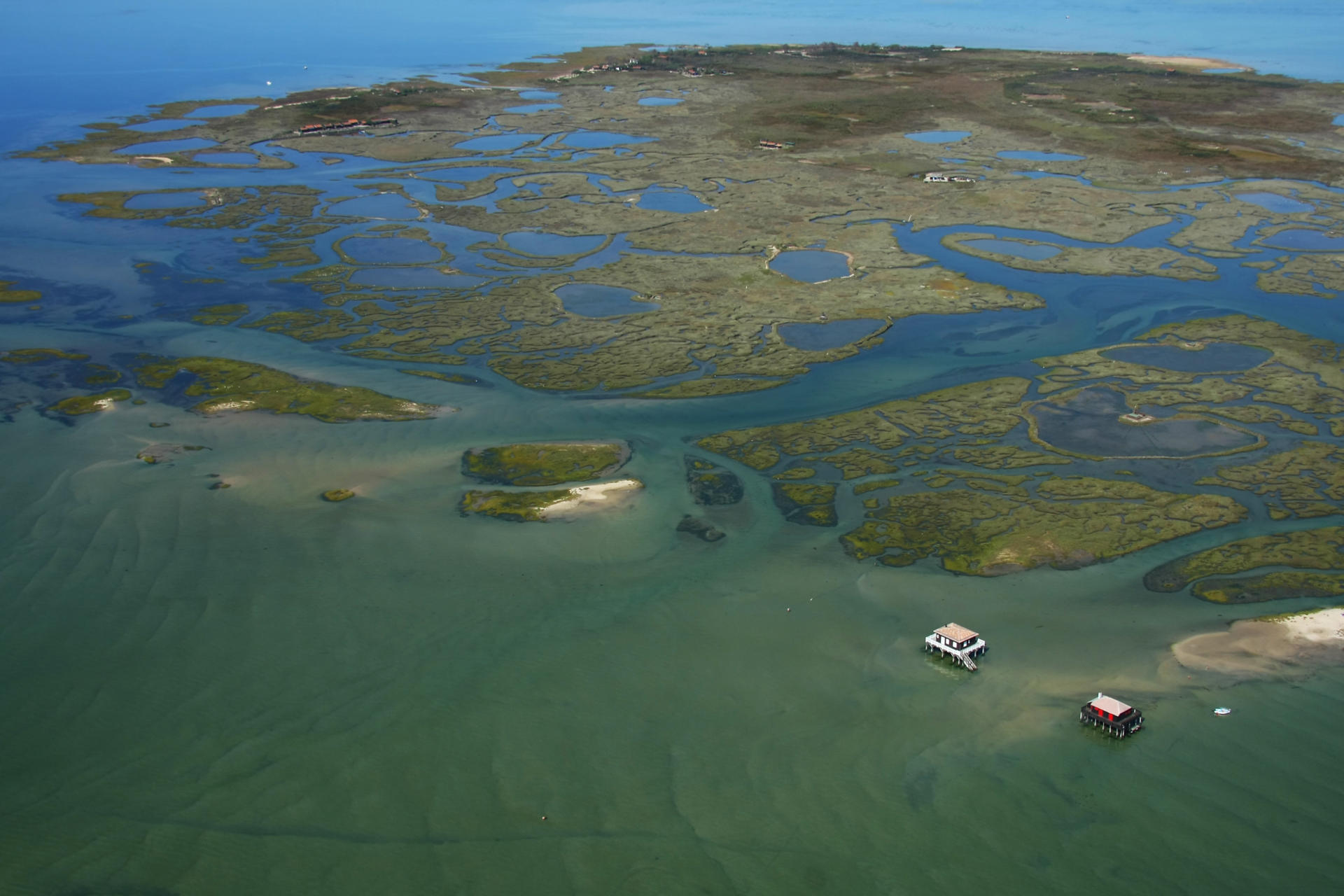 Balade en bateau 1h15 vers l'île aux oiseaux ! Arcachon Office de