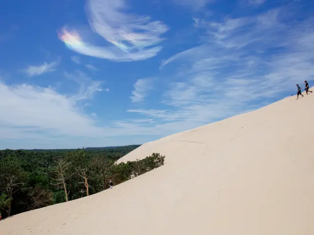 Dune Et Forêt@conteurs