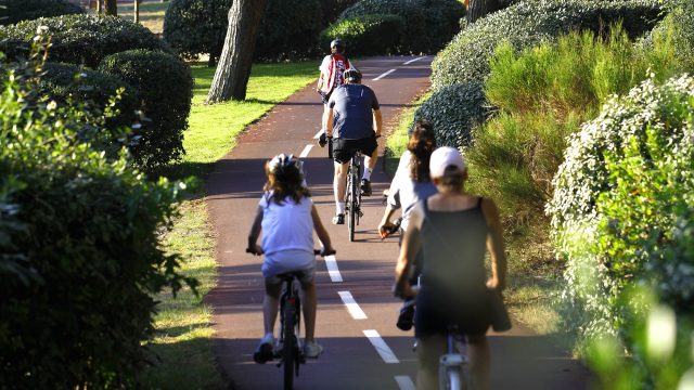 Vélos Piste Pereire