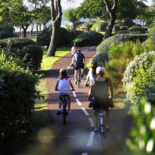 Vélos Piste Pereire