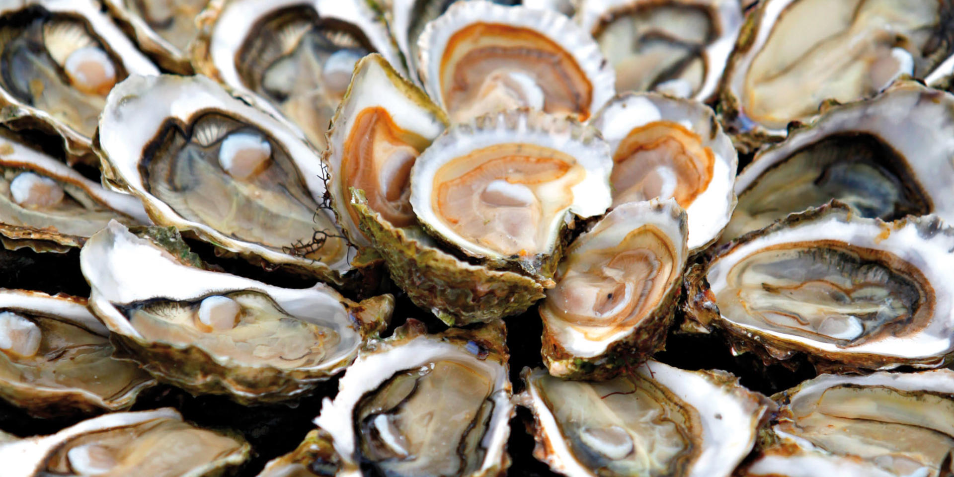 Tester une dégustation d’huîtres Arcachon Office de Tourisme, des Congrès, de la Culture et du Tester une dégustation d’huîtres Arcachon Office de Tourisme, des Congrès, de la Culture et du