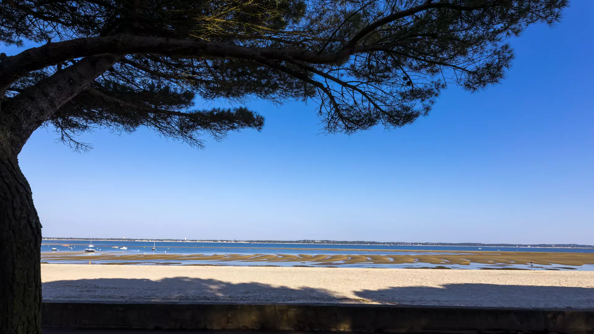 Tourism Arcachon Destination