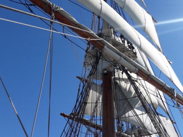 Voiles Gonflees 768x1024 1