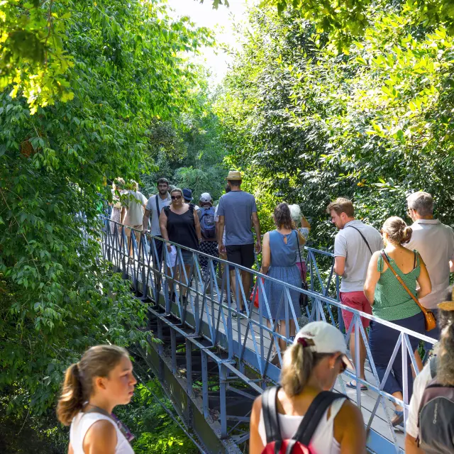 Passerelle Observatoire Alain Vacheron 7