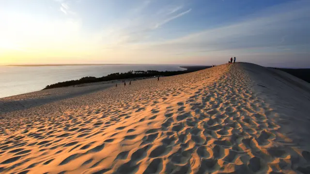 Dune Alain Vacheron 4