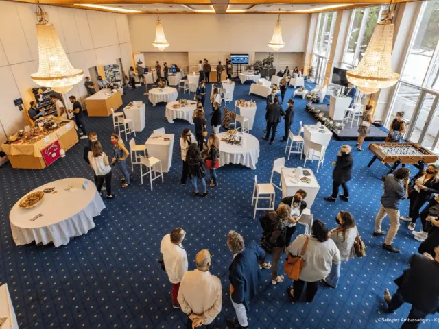 Salle des Ambassadeurs